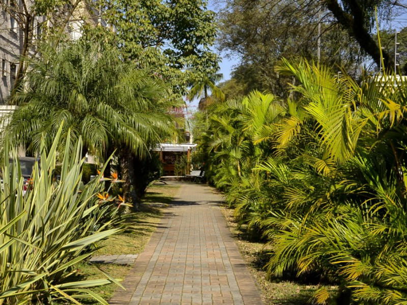 Cobertura à venda Juvevê com 9566m² e 2 quartos por R$ 710.000 - 1000104188.jpg