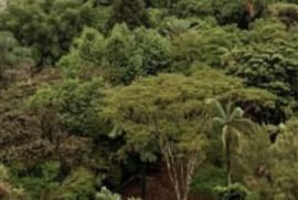 Apartamento à venda Higienópolis com 110m² - 3 dormitórios -  vaga - R$ 1.450.000 - 1000459433.jpg