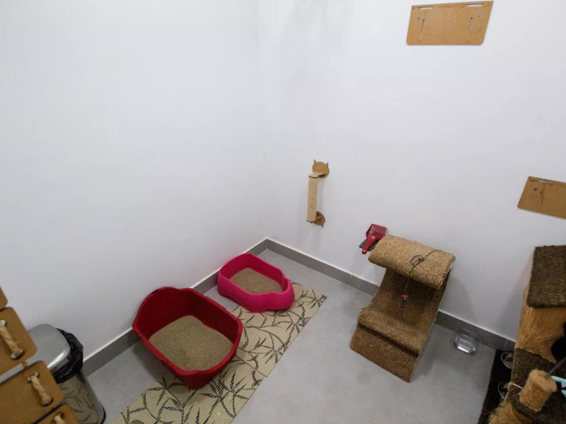 Apartamento à venda Jardim Londrina com 96m² e 2 quartos por R$ 650.000 - quarto-pet.jpeg