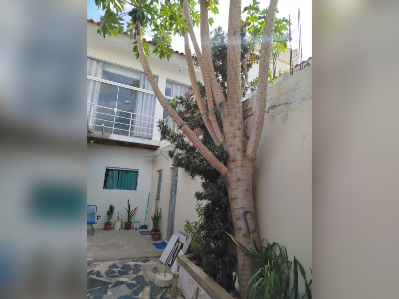 Casa à venda Bela Vista com 360m² e 10 quartos por R$ 1.600.000 - img-20250109-150737.jpg