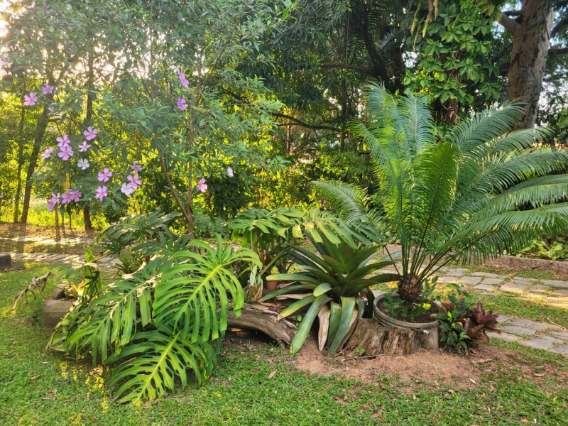 Kitnet à venda Vila Mariana com 37m² e 1 quarto por R$ 640.000 - 1000130389.jpg