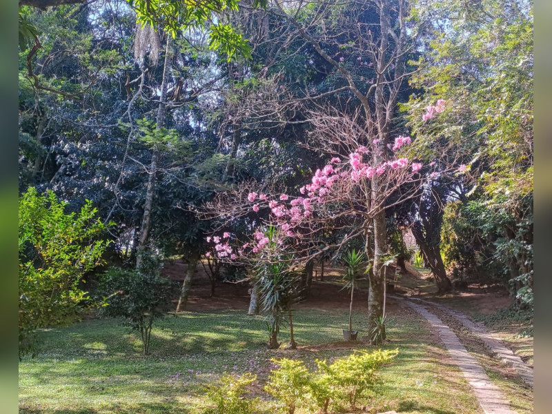 Kitnet à venda Vila Mariana com 37m² e 1 quarto por R$ 640.000 - 1000130392.jpg