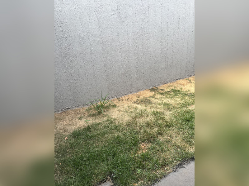 Casa à venda Residencial Buena Vista III com 69m² e 2 quartos por R$ 240.000 - img-7379.jpeg