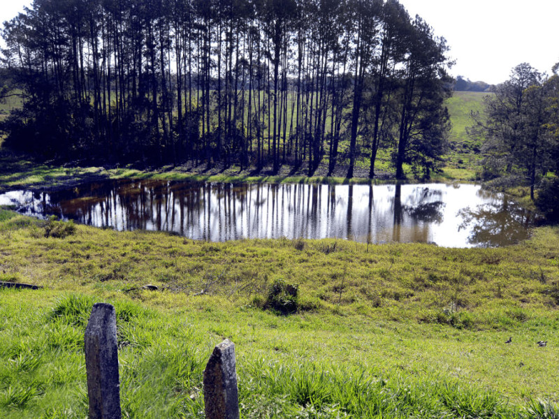 Casa de condomínio à venda Chácara Real (Caucaia do Alto) com 101m² e 3 quartos por R$ 530.000 - whatsapp-image-2023-08-02-at-115202-21.jpeg