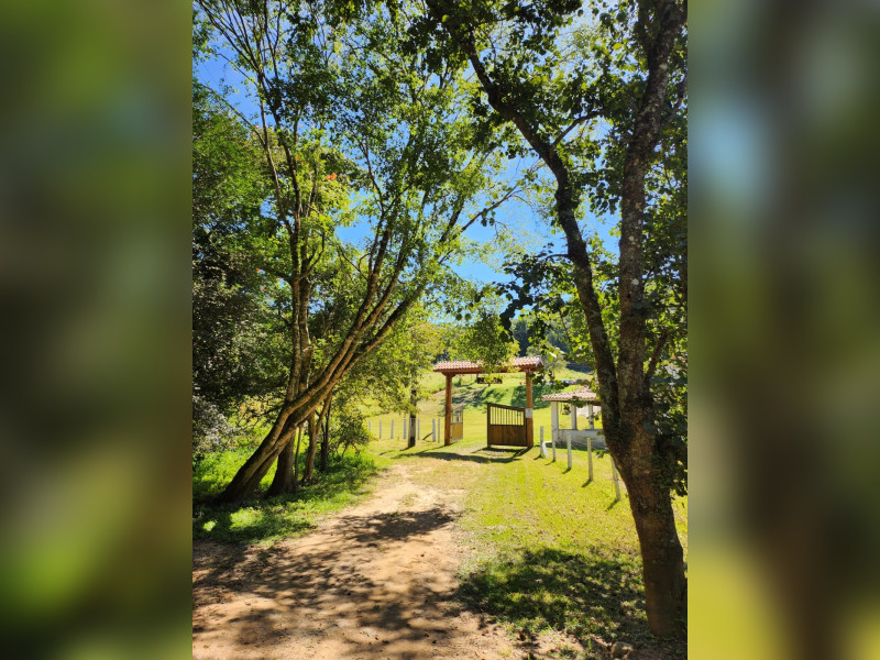 Sítio à venda Bairro da Vargem Grande com 66000m² e 3 quartos por R$ 1.750.000 - sitio-entrada.jpg