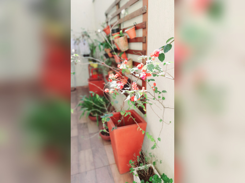 Casa à venda Vila Santa Helena com 130m² e 3 quartos por R$ 797.000 - 20200725-102105.jpg