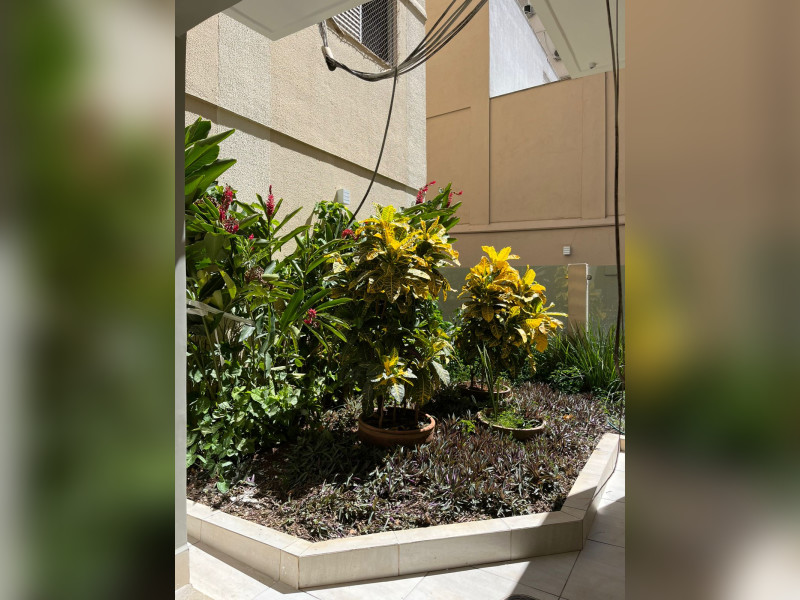 Apartamento à venda Nova Suíça com 105m² e 3 quartos por R$ 395.000 - whatsapp-image-2025-11-28-at-232431-4.jpeg