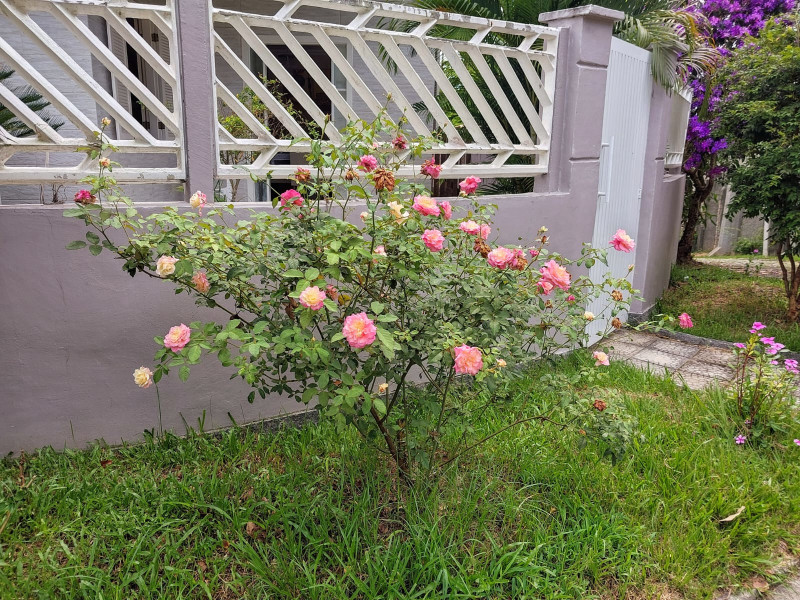 Casa de condomínio à venda Badu com 358m² e 4 quartos por R$ 1.000.000 - img-20260203-wa0006.jpg