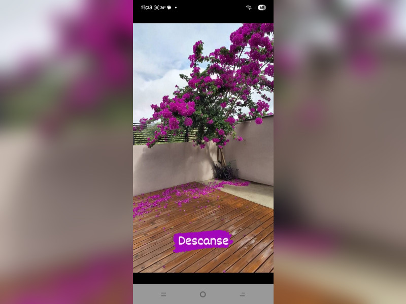 Casa à venda Alto Ribeirão Leste com 130m² e 3 quartos por R$ 1.199.000 - screenshot-20260319-132334-facebook-optimized.jpg