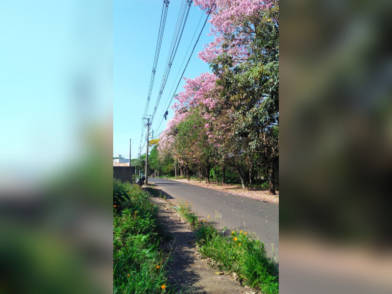 Terreno à venda Jardim Hikari com 26225m² e 0 quartos por R$ 280.000 - img-20230923-wa0004.jpg