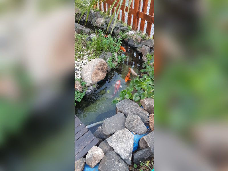 Apartamento à venda Jardim São José com 42m² e 2 quartos por R$ 207.000 - 20220626-172653.jpg