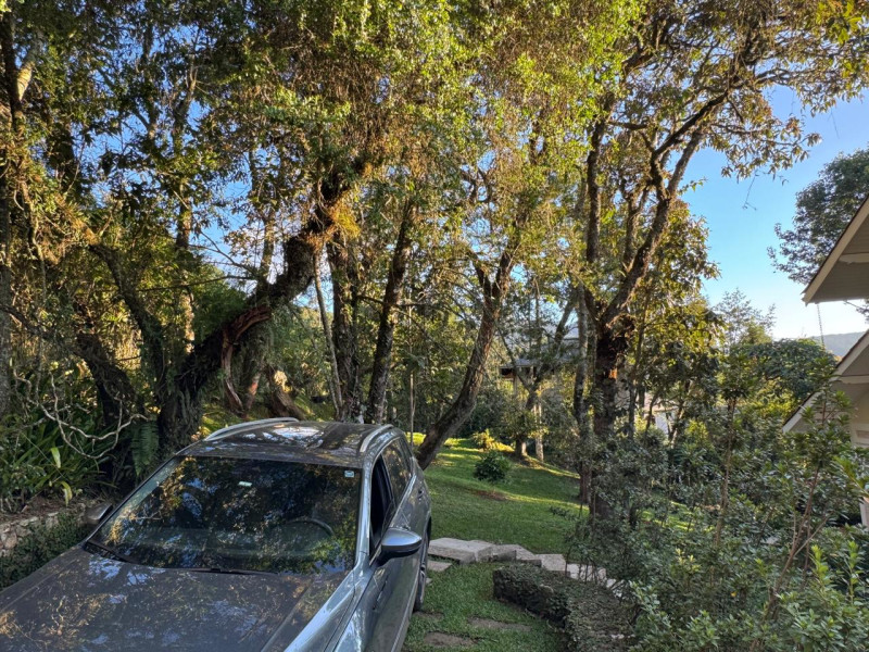 Casa à venda centro com 350m² e 5 quartos por R$ 3.300.000 - yzcc3agdt2hwypdfxb12ebva.jpeg