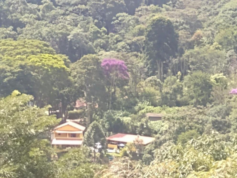 Sítio à venda Granja Mafra com 116420m² e 3 quartos por R$ 480.000 - 2f2db7a7-c455-4163-b511-d7f2d2162949.jpeg