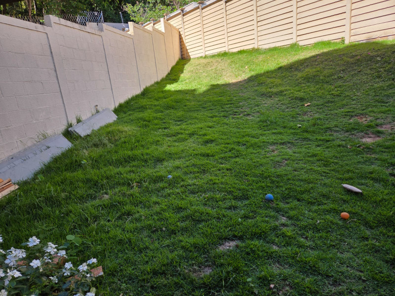 Apartamento à venda Jardim Nova Europa com 70m² e 3 quartos por R$ 489.000 - quintal-3.jpeg