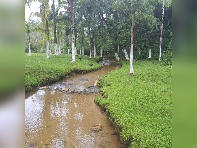 Sítio à venda Centro  com 360m² e 5 quartos por R$ 950.000 - 1000004777.jpg