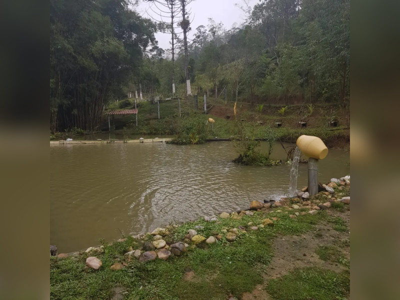 Sítio à venda Centro  com 360m² e 5 quartos por R$ 950.000 - 1000004779.jpg