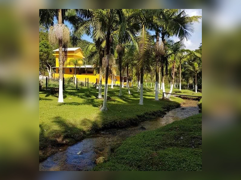 Sítio à venda Centro  com 360m² e 5 quartos por R$ 950.000 - 1000004781.jpg