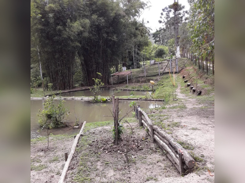 Sítio à venda Centro  com 360m² e 5 quartos por R$ 950.000 - 1000004785.jpg