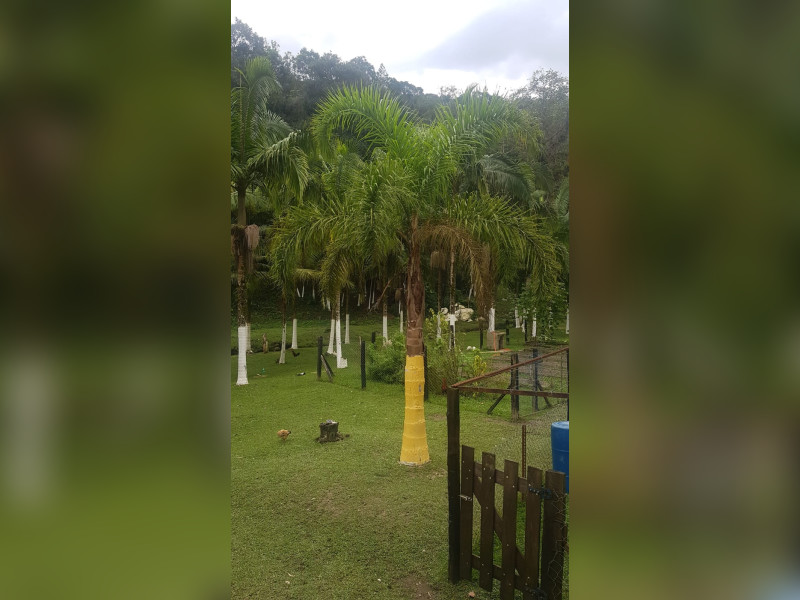 Sítio à venda Centro  com 360m² e 5 quartos por R$ 950.000 - 1000068372.jpg