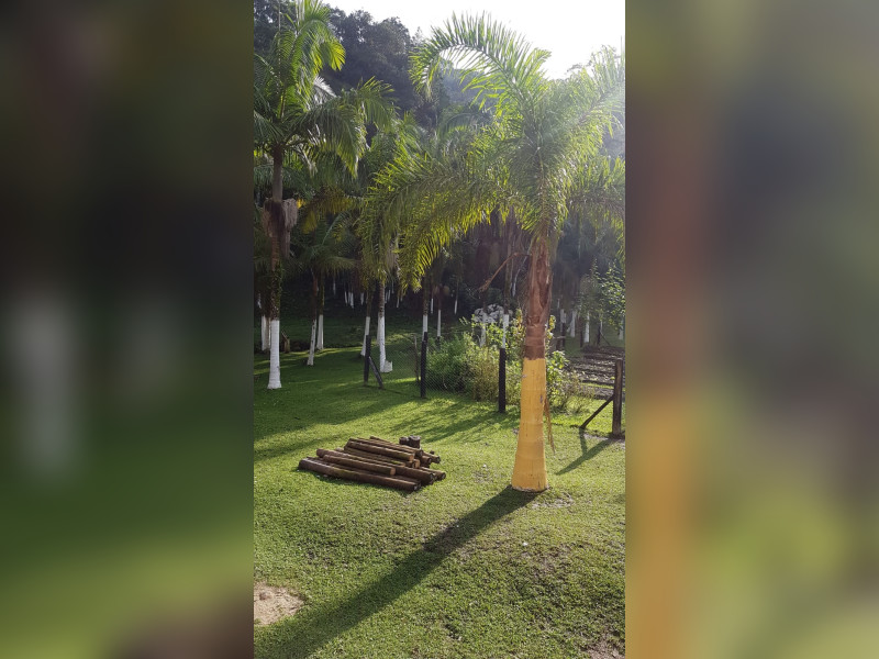 Sítio à venda Centro  com 360m² e 5 quartos por R$ 950.000 - 1000068373.jpg