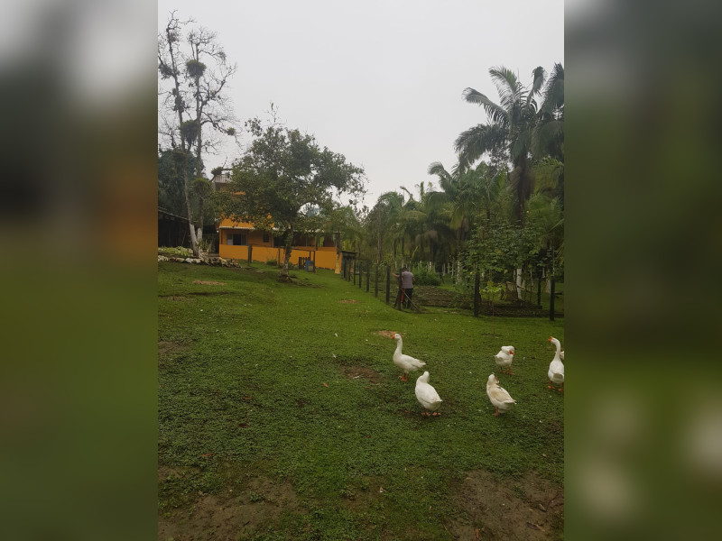 Sítio à venda Centro  com 360m² e 5 quartos por R$ 950.000 - 1000068375.jpg