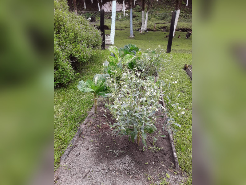 Sítio à venda Centro  com 360m² e 5 quartos por R$ 950.000 - 1000068384.jpg