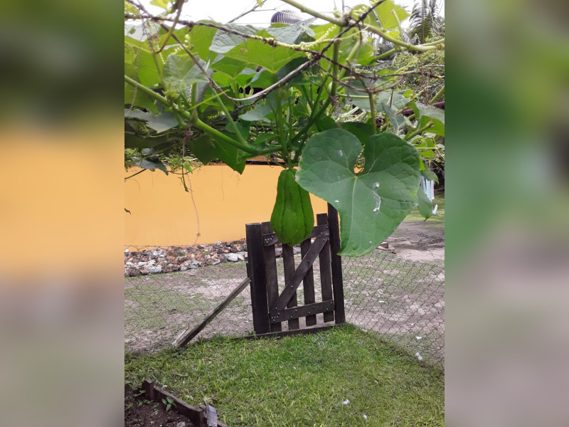 Sítio à venda Centro  com 360m² e 5 quartos por R$ 950.000 - 1000068386.jpg