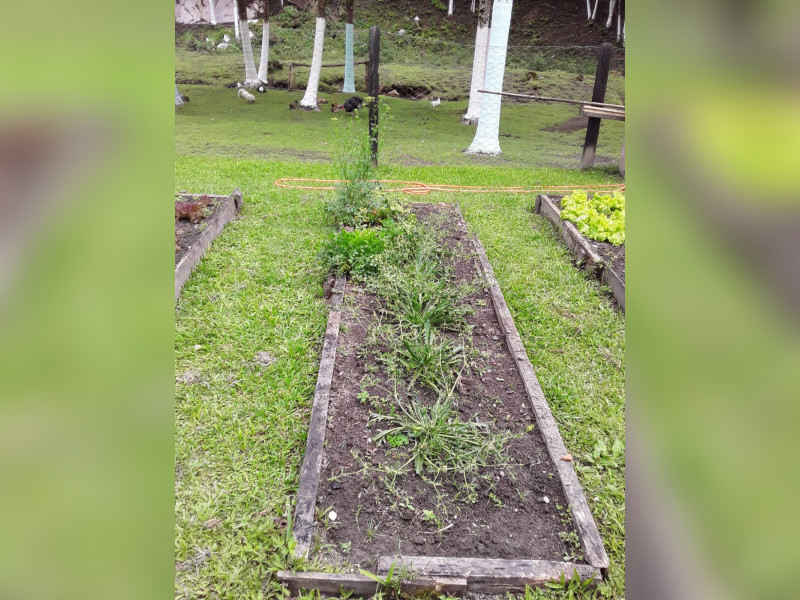 Sítio à venda Centro  com 360m² e 5 quartos por R$ 950.000 - 1000068387.jpg