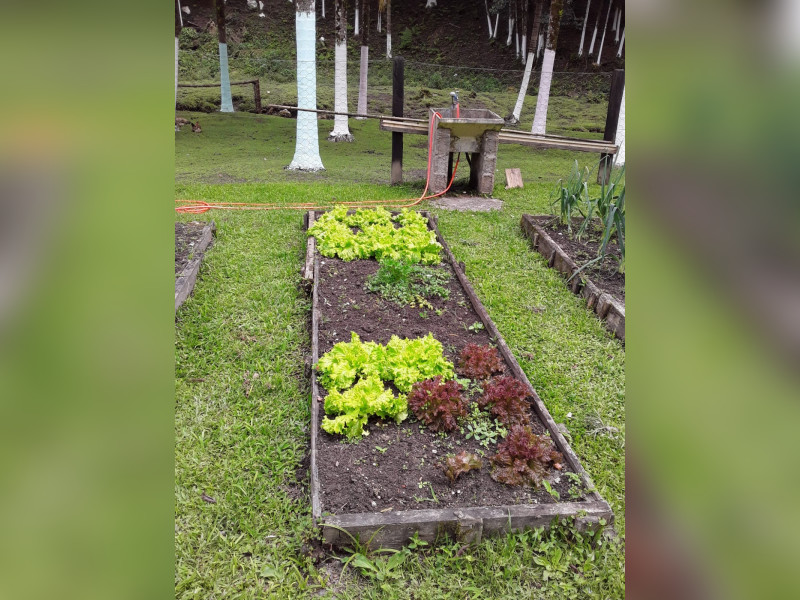 Sítio à venda Centro  com 360m² e 5 quartos por R$ 950.000 - 1000068388.jpg