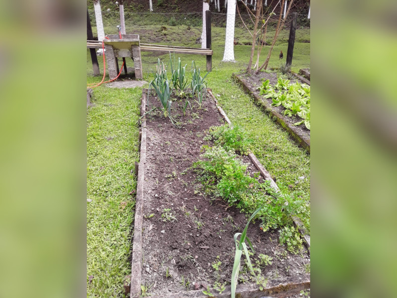 Sítio à venda Centro  com 360m² e 5 quartos por R$ 950.000 - 1000068389.jpg