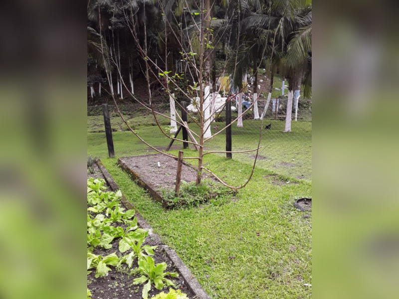 Sítio à venda Centro  com 360m² e 5 quartos por R$ 950.000 - 1000068390.jpg