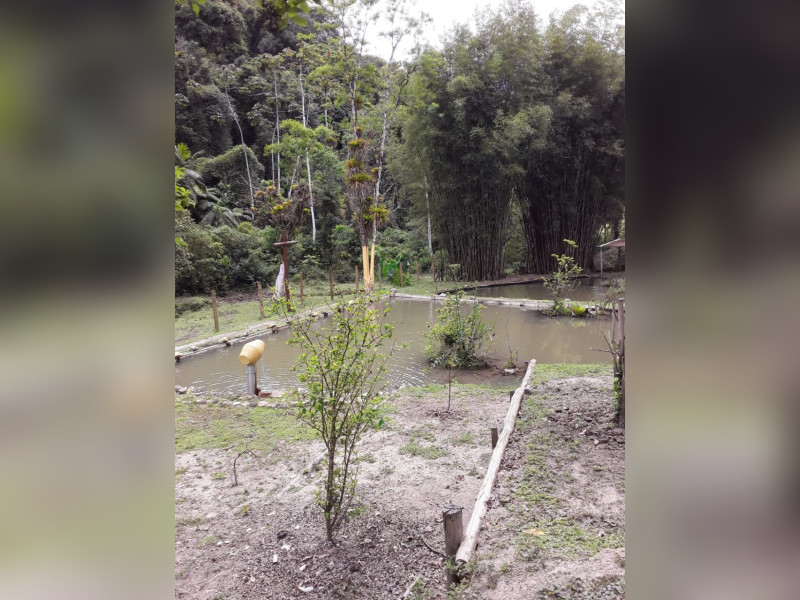 Sítio à venda Centro  com 360m² e 5 quartos por R$ 950.000 - 1000068391.jpg