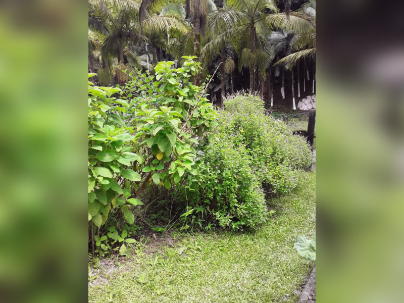 Sítio à venda Centro  com 360m² e 5 quartos por R$ 950.000 - 1000068393.jpg