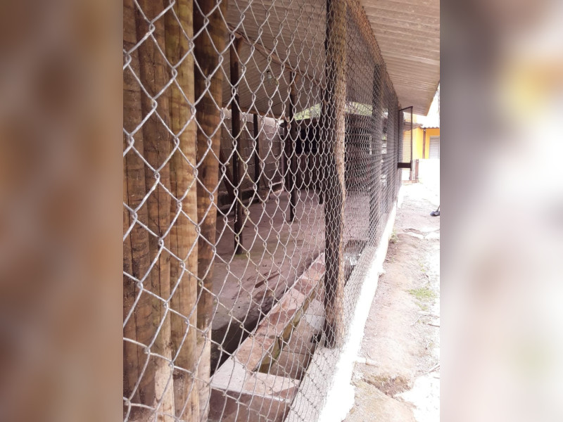 Sítio à venda Centro  com 360m² e 5 quartos por R$ 950.000 - 1000068394.jpg