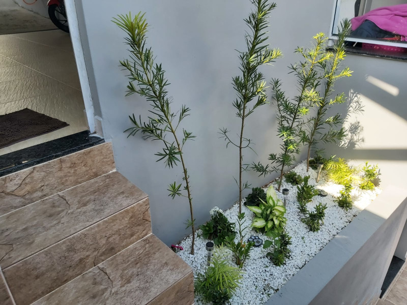 imóvel com 480m² - Centro - Serra Negra