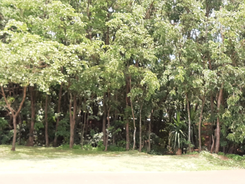 Casa de condomínio à venda Distrito de Bonfim Paulista com 162m² e 3 quartos por R$ 900.000 - 1000300541.jpg