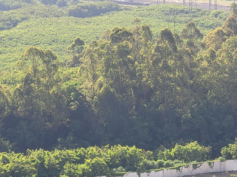 Apartamento à venda Nova Aldeinha com 48m² e 2 quartos por R$ 479.000 - img-20241127-wa0203.jpg