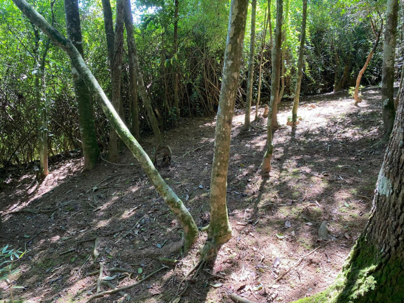 Terreno à venda Do Carmo (Canguera) com 1061m² e 0 quartos por R$ 259.000 - s.jpeg