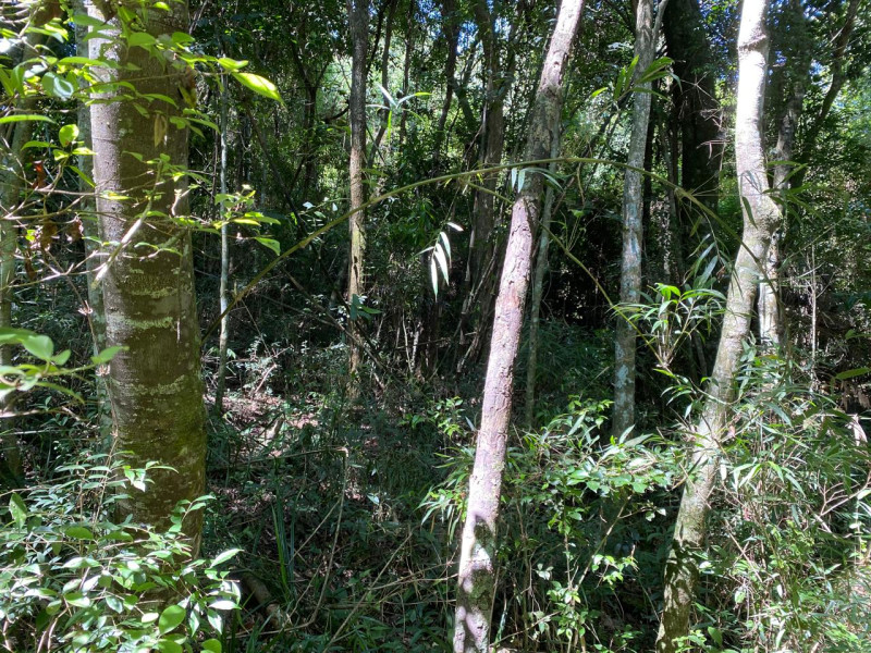 Terreno à venda Do Carmo (Canguera) com 1061m² e 0 quartos por R$ 259.000 - whatsapp-image-2026-02-10-at-154424.jpeg