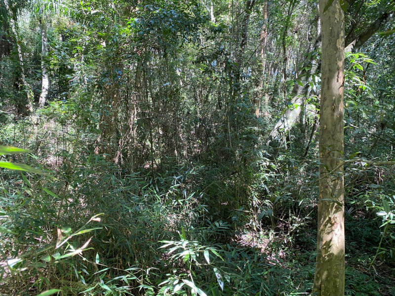 Terreno à venda Do Carmo (Canguera) com 1061m² e 0 quartos por R$ 259.000 - whatsapp-image-2026-02-10-at-154425.jpeg