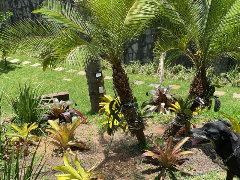 Casa à venda São Sebastião com 710m² e 7 quartos por R$ 1.750.000 - jardim-foto2.jpg