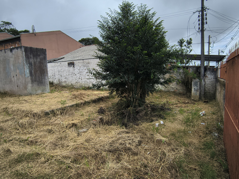 Terreno à venda Atuba com 485m² e 0 quartos por R$ 700.000 - img-20260221-102241942.jpg