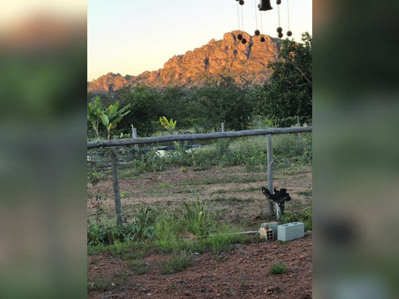 Fazenda à venda Centro com 37m² e 4 quartos por R$ 990.000 - 1000609665.jpg