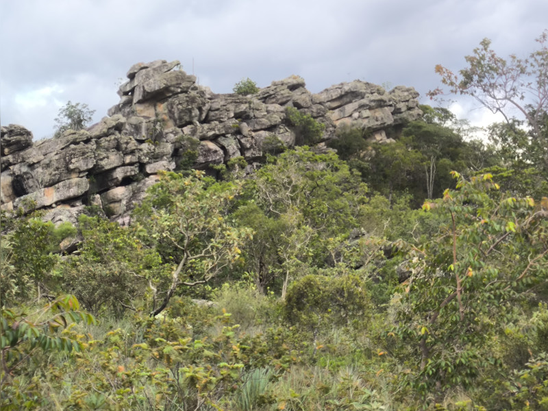 Fazenda à venda Centro com 37m² e 4 quartos por R$ 990.000 - 1000610768.jpg