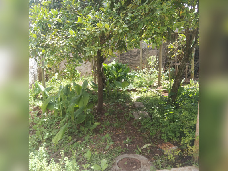 Casa à venda Weissópolis com 480m² e 4 quartos por R$ 1.050.000 - 34327.jpg