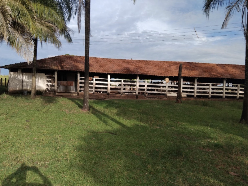 Sítio à venda Área Rural de Olímpia com 137m² e 5 quartos por R$ 5.500.000 - img-1677.jpeg