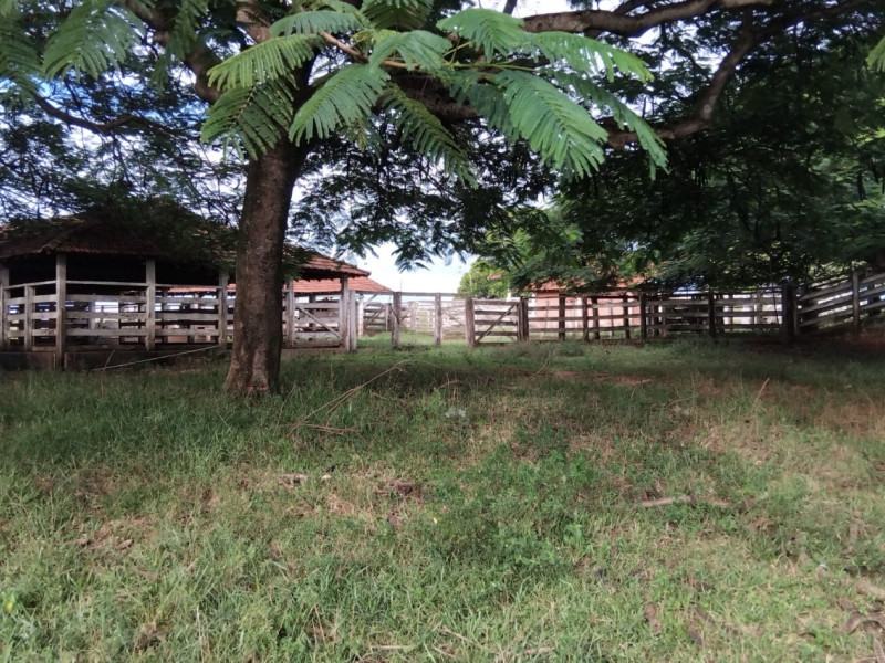Sítio à venda Área Rural de Olímpia com 137m² e 5 quartos por R$ 5.500.000 - img-1679.jpeg