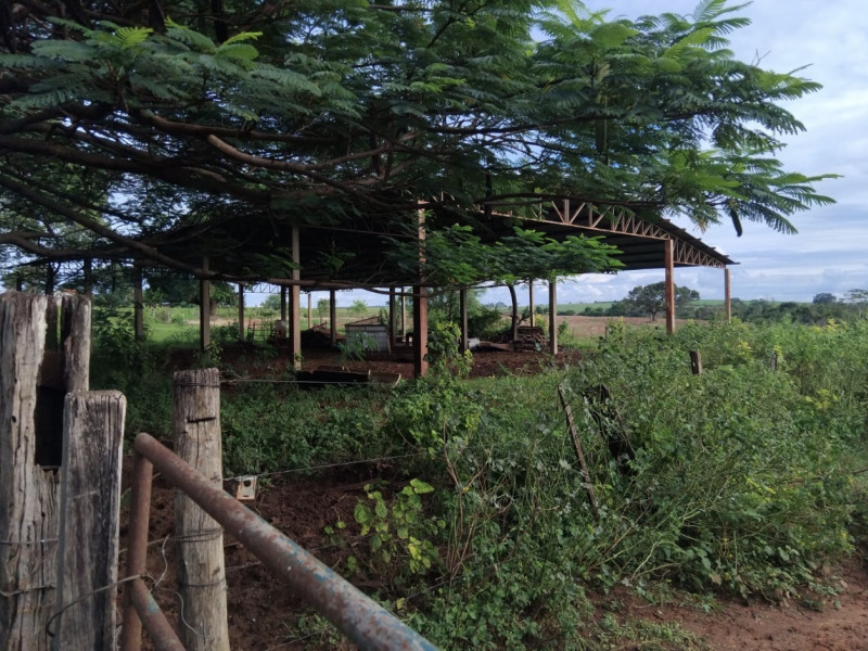 Sítio à venda Área Rural de Olímpia com 137m² e 5 quartos por R$ 5.500.000 - img-1681.jpeg