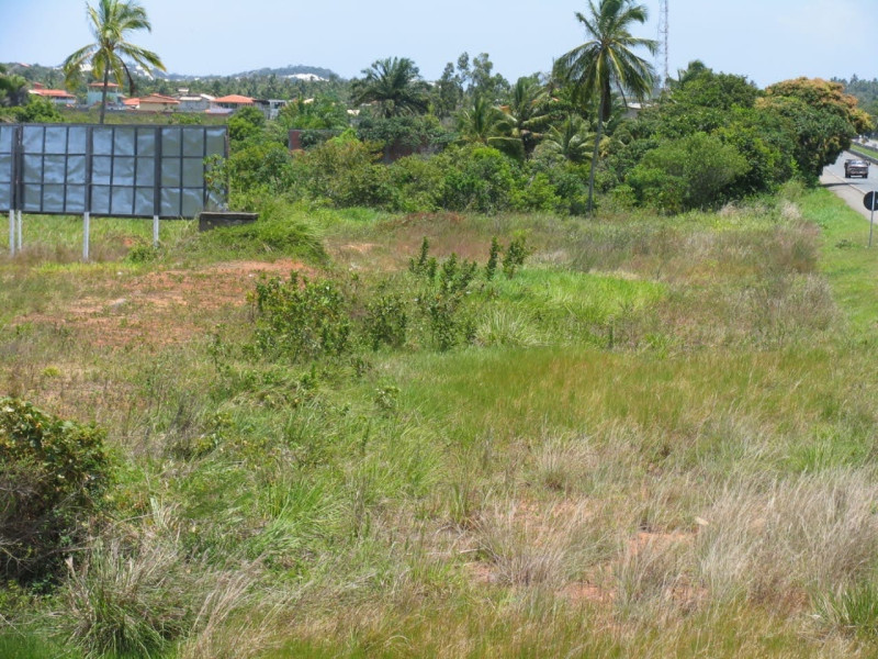 imóvel com 8000m² - Arembepe (Abrantes) - Camaçari