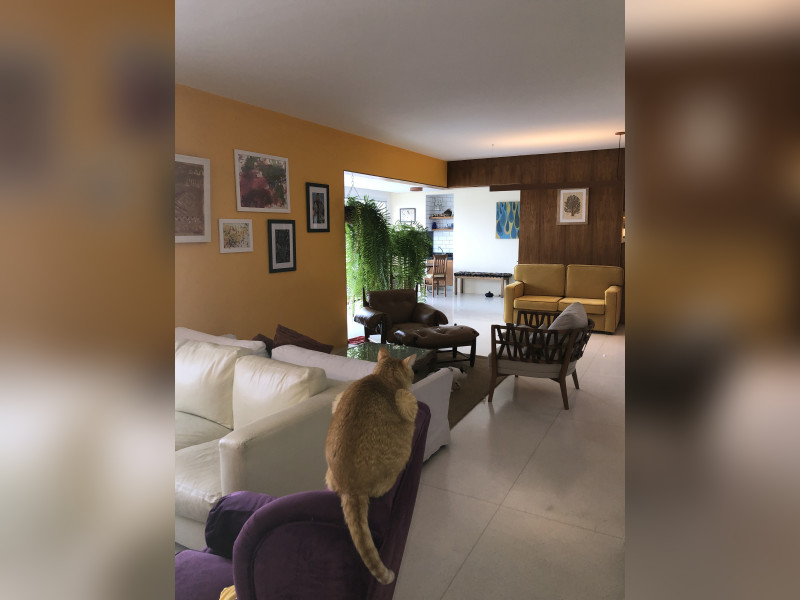 imóvel com 162m² - Alto da Lapa - São Paulo